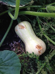 Charitable gifts to those in need